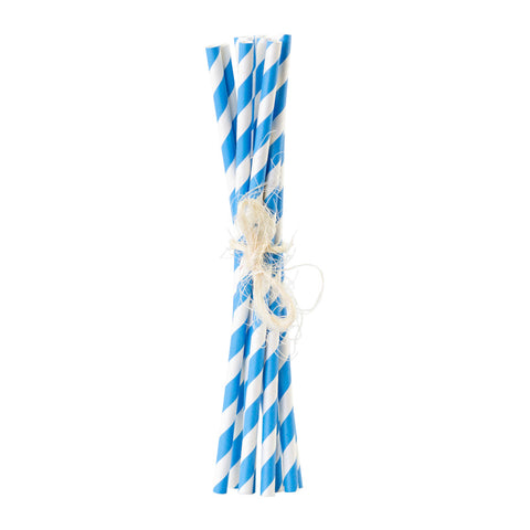 Eco Friendly Paper Straws - Set of 10